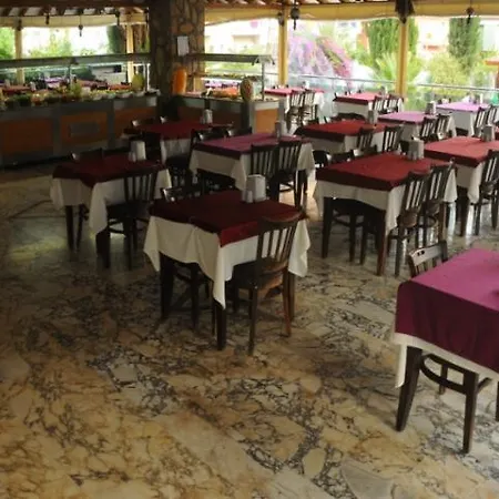 Отель Dorian 3*